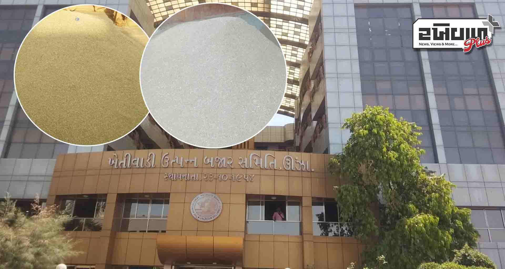 ઉંઝા માર્કેટ યાર્ડમાં મસાલાની ચીજોની નવા માલની આવકો શરૂ