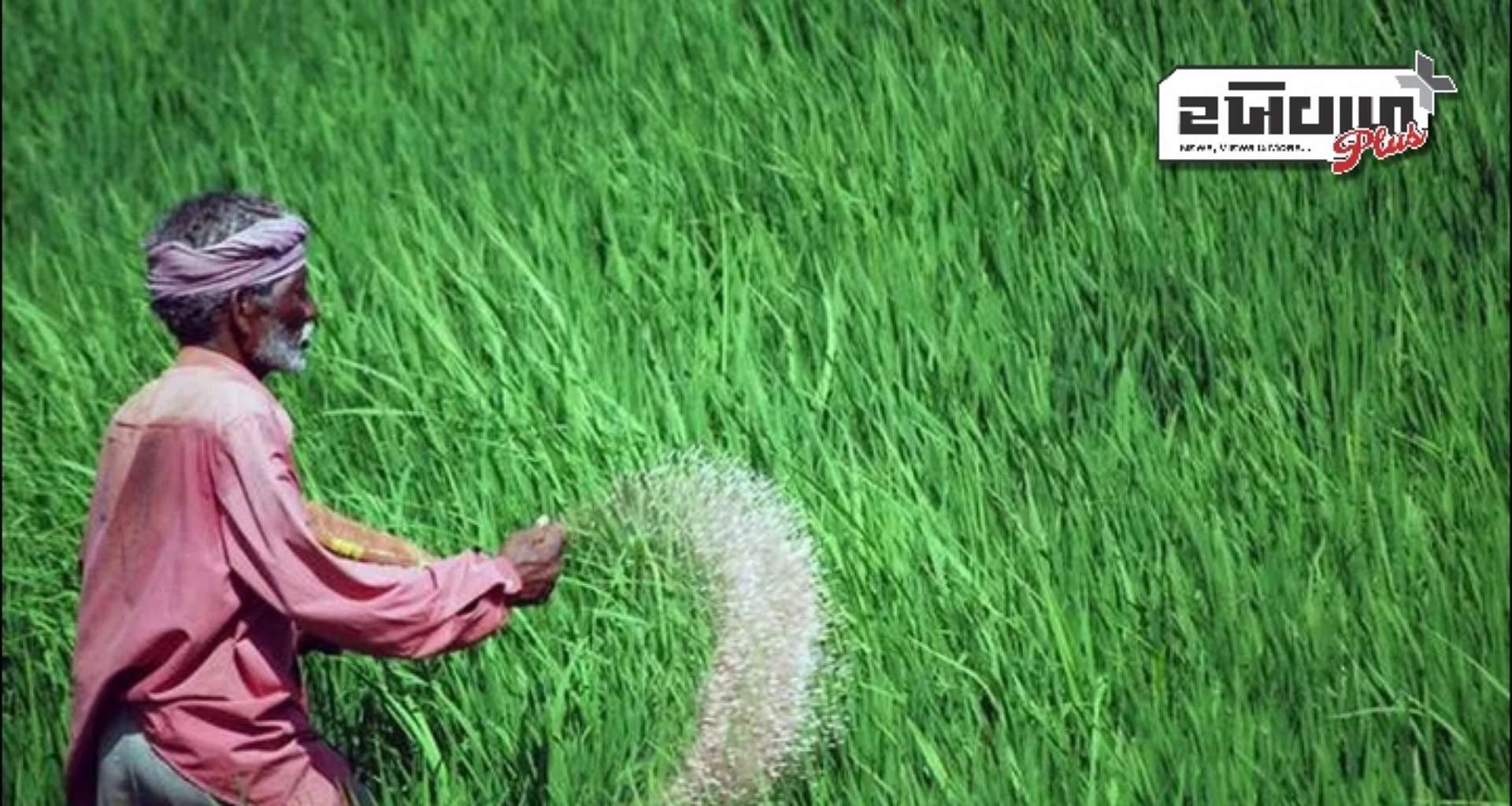 PM કિસાન યોજનાનો 19મો હપ્તો ખેડૂતોના ખાતામાં ક્યારે આવશે? સરકારે માહિતી આપી