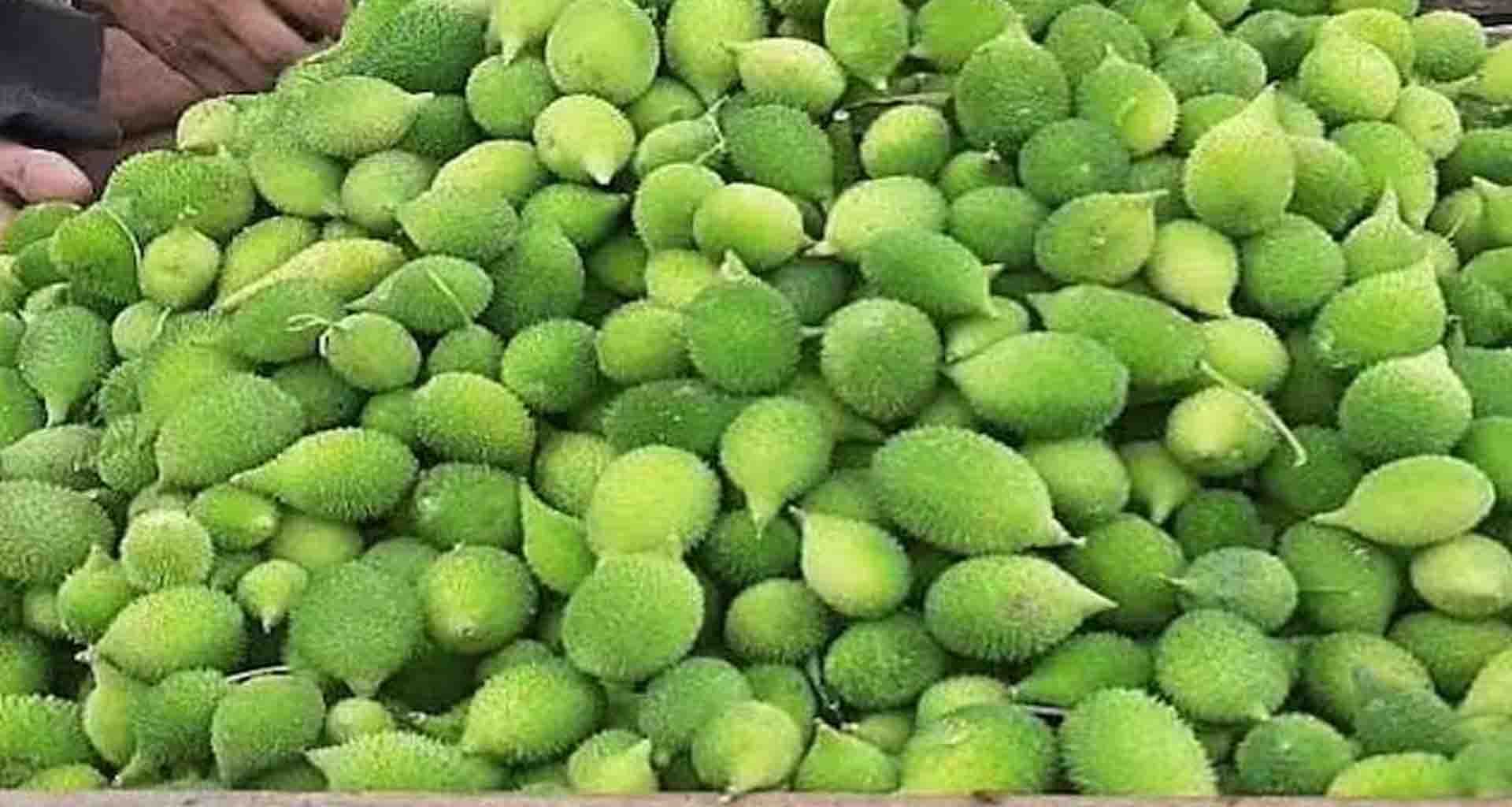 બનાસકાંઠા જિલ્લાની શાકમાર્કેટોમાં અરવલ્લીના આમ્ર ફળ 'કંકોડા' નું આગમન