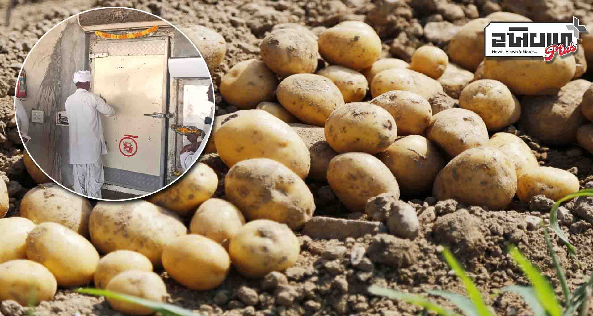 આગામી એક મહિના સુધી બટાકાની કામગીરીથી પંથક ધમધમી ઉઠશે