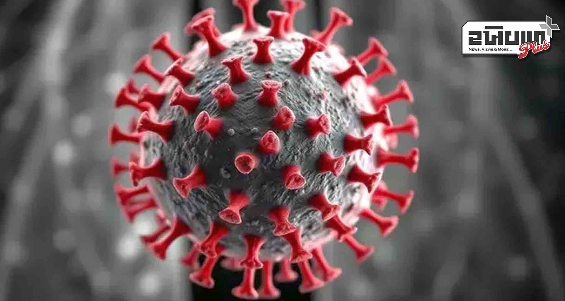 આસામમાં HMPV વાયરસનો એક કેસ નોંધાયો 10 મહિનાના બાળકમાં ચેપની પુષ્ટિ