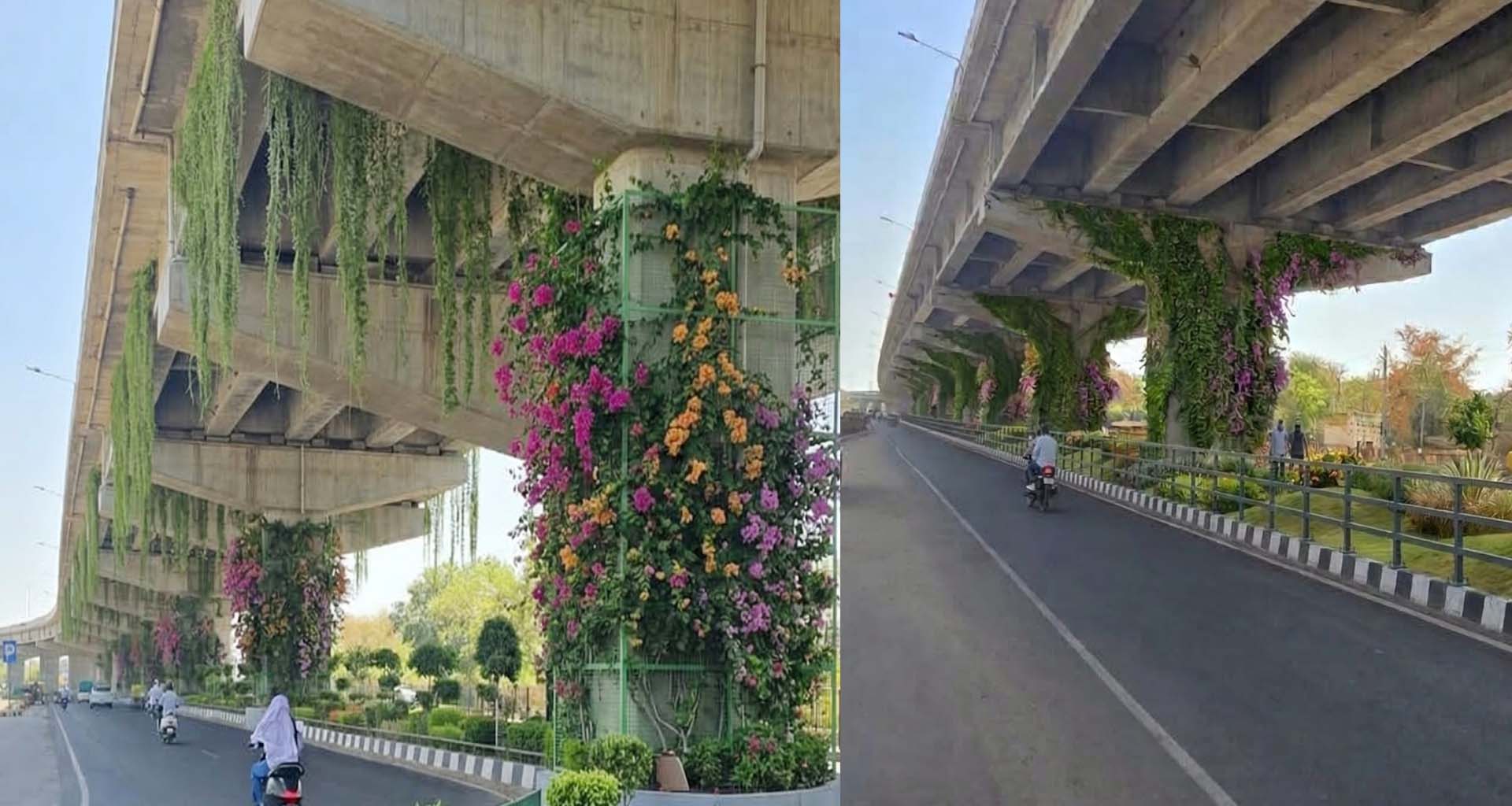 ડીસાની નવી ઓળખ : એલિવેટેડ બ્રિજ હવે 'વર્ટિકલ ગાર્ડન' થી ગ્રીન કોરિડોર બનશે