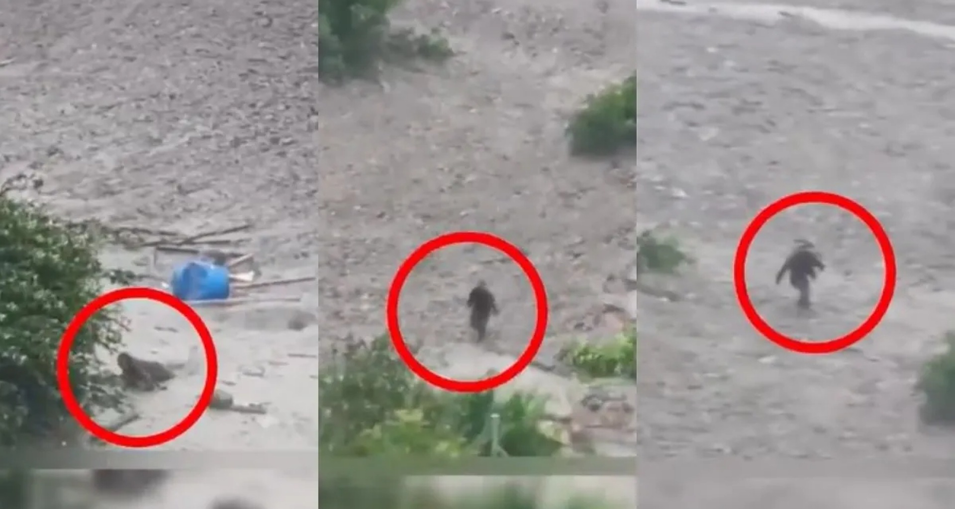 ધારલીમાં પૂર વચ્ચે થયો ચમત્કાર, કાટમાળમાંથી જીવતો બહાર આવ્યો એક માણસ