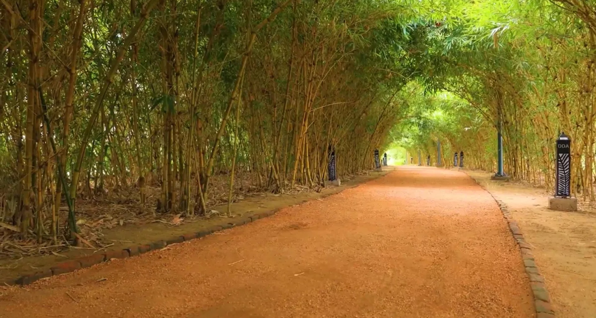 દેશના ખૂણે ખૂણેથી લોકો રાષ્ટ્રીય રાજધાની દિલ્હીની મુલાકાત લીધી