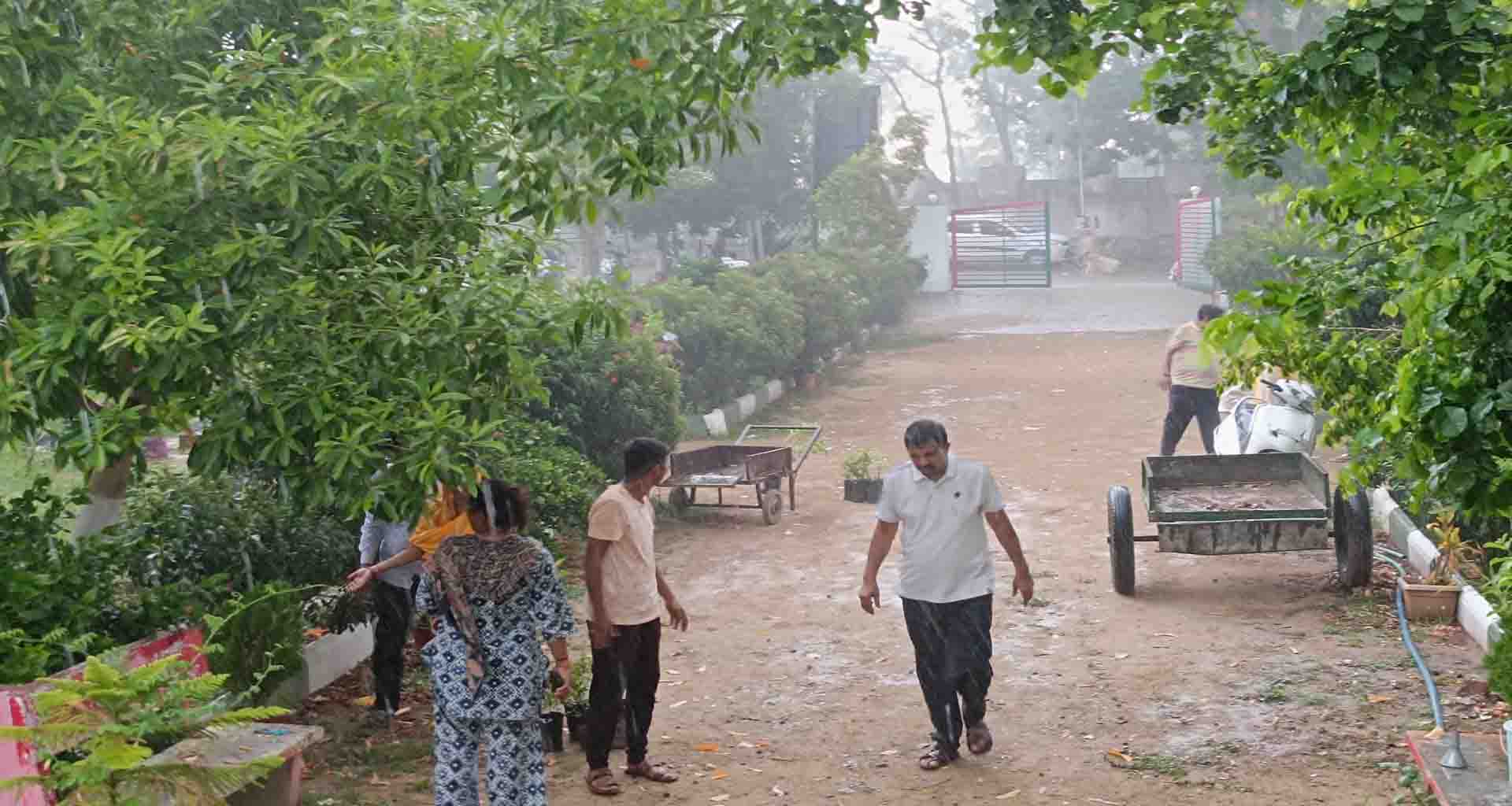 પાટણ; શહેરના નીચાણવાળા વિસ્તારોમાં વરસાદી પાણી ફરી મળતા લોકો મુશ્કેલીમાં મુકાયા