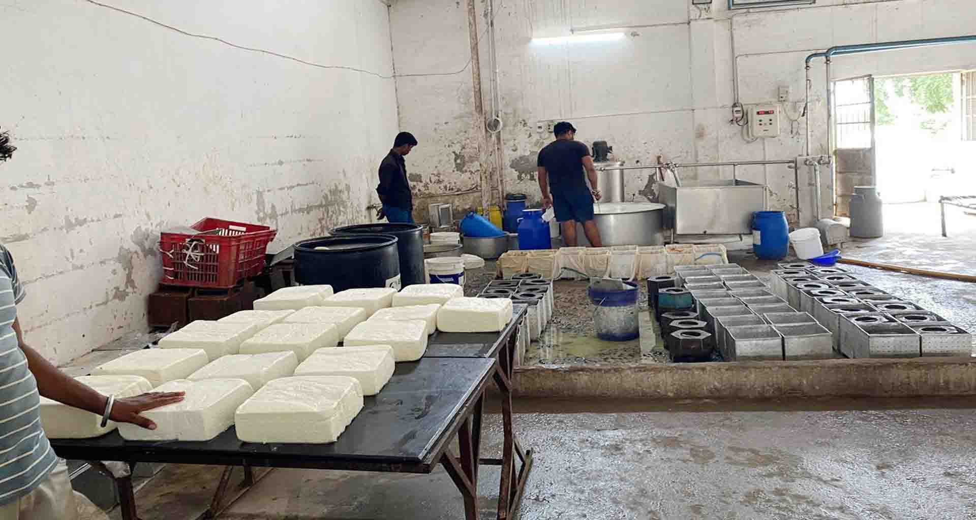 મહેસાણા; ફૂડ એન્ડ ડ્રગ્સ વિભાગના દરોડા વિજાપુરમાં નકલી પનીર બનાવતી ફેક્ટરીનો પર્દાફાશ