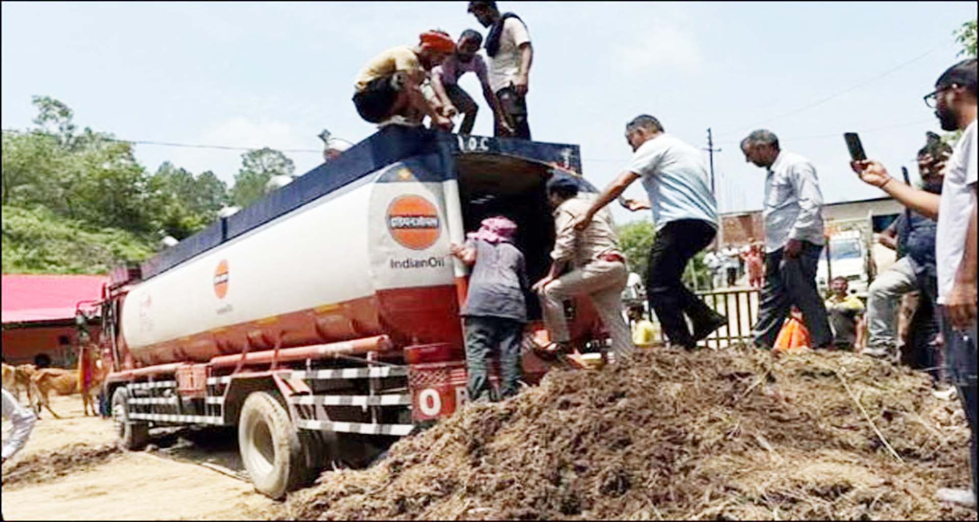 'પુષ્પા' સ્ટાઈલમાં નવ ગાયોની તસ્કરી : આબકારી વિભાગે ઝડપ્યા