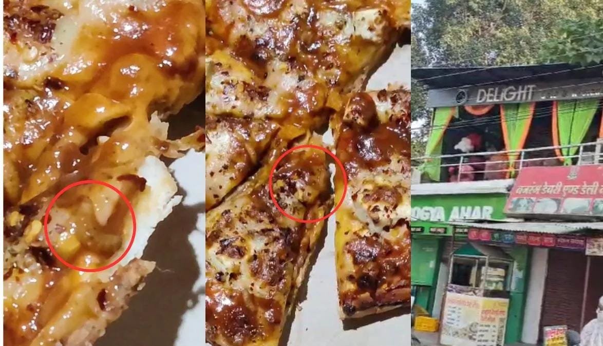 યુવકે પિત્ઝાનું બોક્સ ખોલતાં જ તેનું દિલ થરથર્યું કાપવા લાગ્યું, કહ્યું- ઘરનું ભોજન સૌથી શ્રેષ્ઠ છે