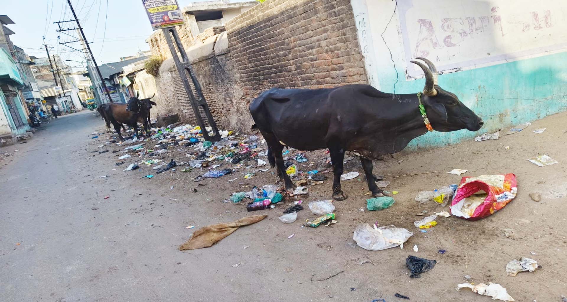 પાટણ આશિષ વિદ્યાલયના ગેટ આગળના કચરાના પોઈન્ટથી વિધાર્થીઓના આરોગ્ય સામે ખતરો