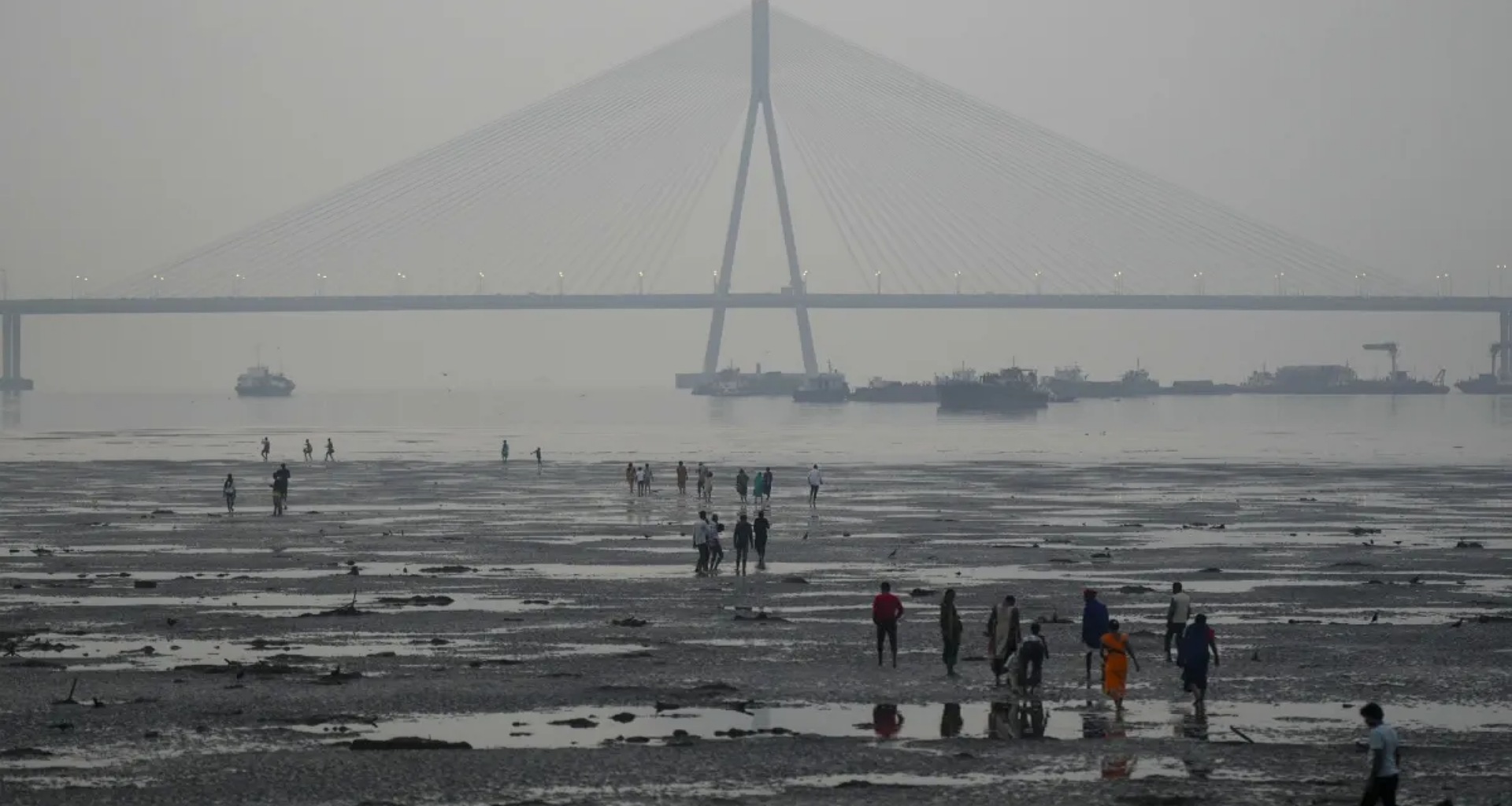 પંજાબ, હરિયાણા અને પૂર્વી રાજસ્થાનમાં શીત લહેરની ચેતવણી, હિમાચલમાં બરફવર્ષાની સંભાવના