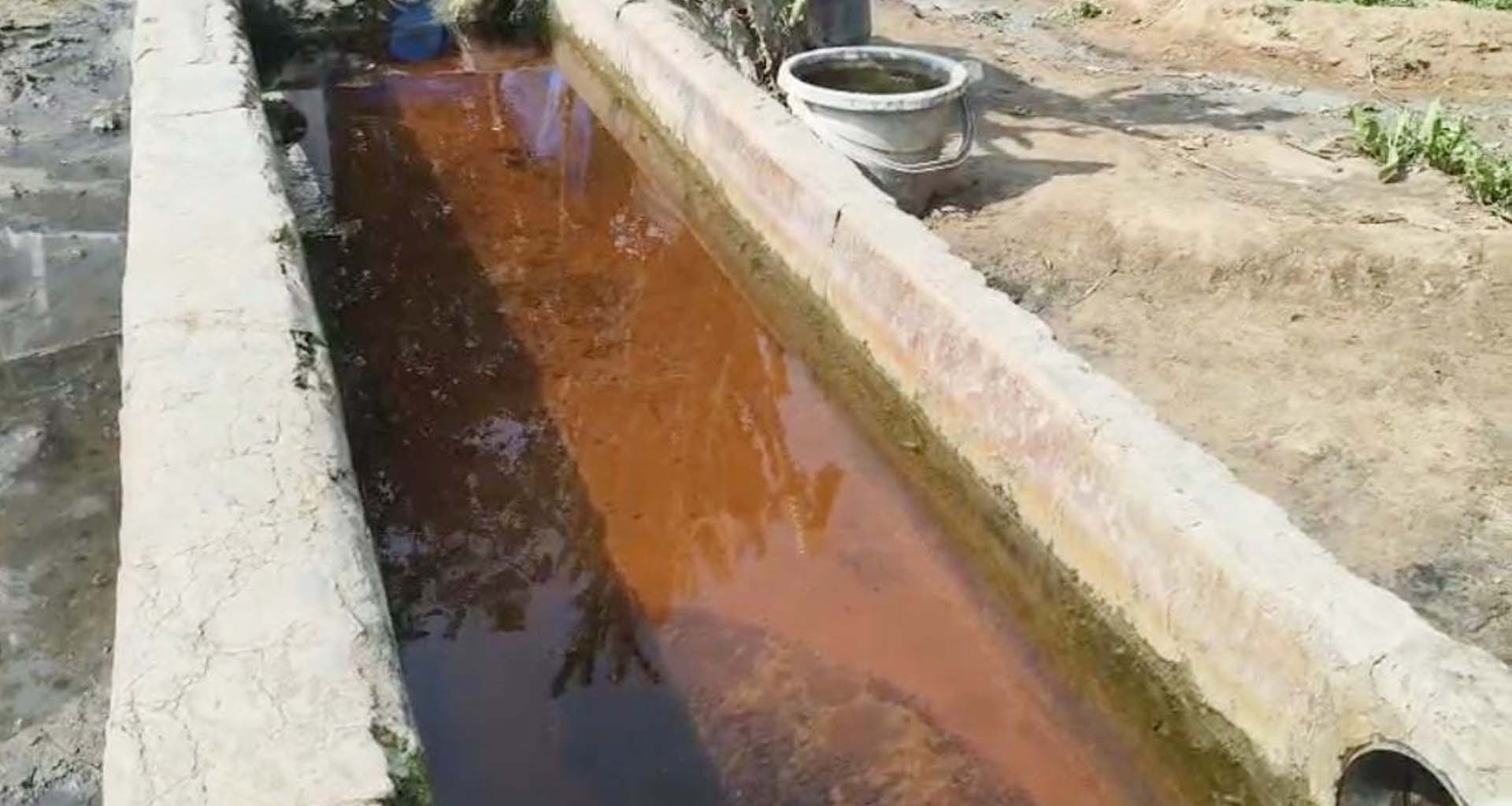 કડીના ઈન્દ્રાડ ગામે કેમિકલ કંપનીઓના પાપે વિનાશ નોતર્યો : ખેડૂતોમાં ભારે રોષ