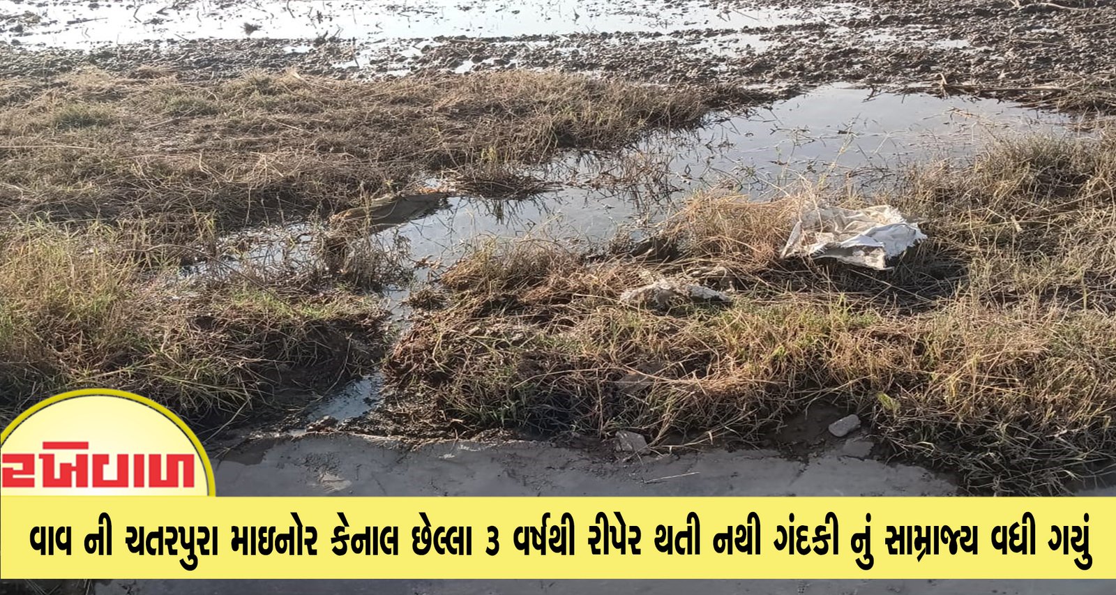 વાવની ચતરપુરા માઇનોર કેનાલ છેલ્લા 3 વર્ષથી રીપેર થતી નથી ગંદકી નું સામ્રાજ્ય વધી ગયું