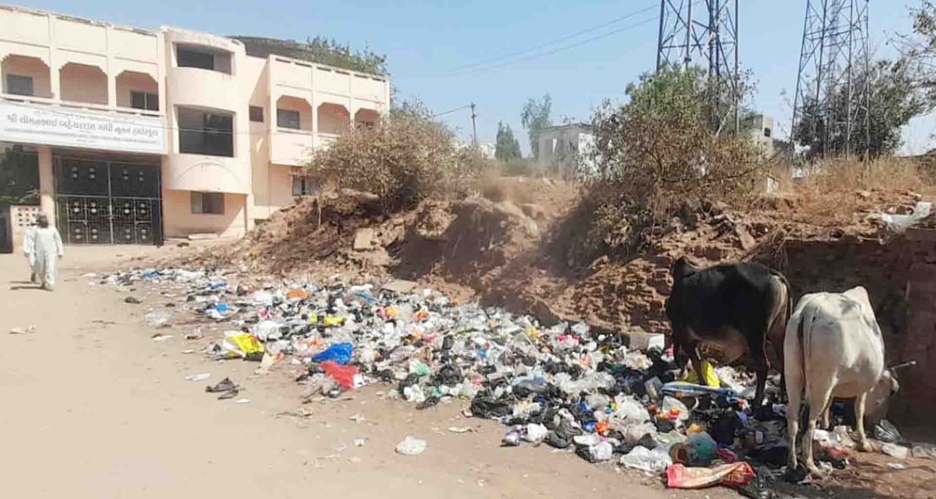 પાલનપુરમાં માં સરસ્વતીના ધામ સામે જ ગંદકીનું સામ્રાજ્ય