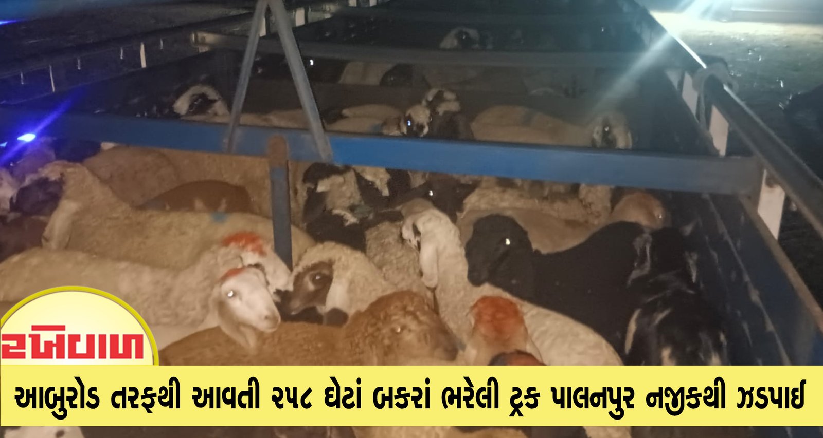 આબુરોડ તરફથી આવતી 258 ઘેટાં બકરાં ભરેલી ટ્રક પાલનપુર નજીકથી ઝડપાઈ
