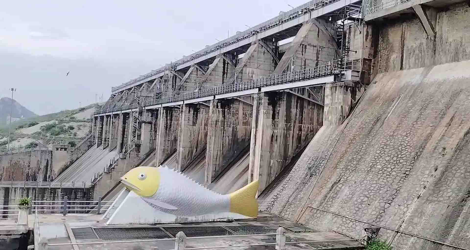 બનાસકાંઠામાં સિઝન નો 59.84 ટકા વરસાદ છતાં ડેમોની સ્થિતિ તળિયા ઝાટક