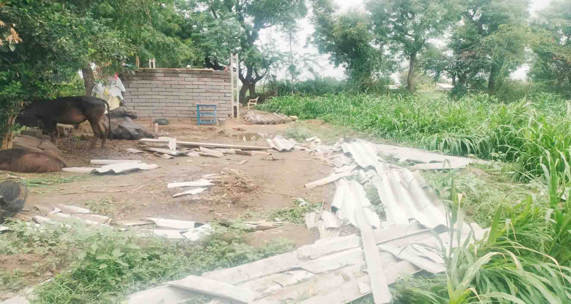 બનાસકાંઠા જિલ્લાના અનેક ભાગોમાં વાવાઝોડા સાથે વરસાદથી વ્યાપક નુકસાન