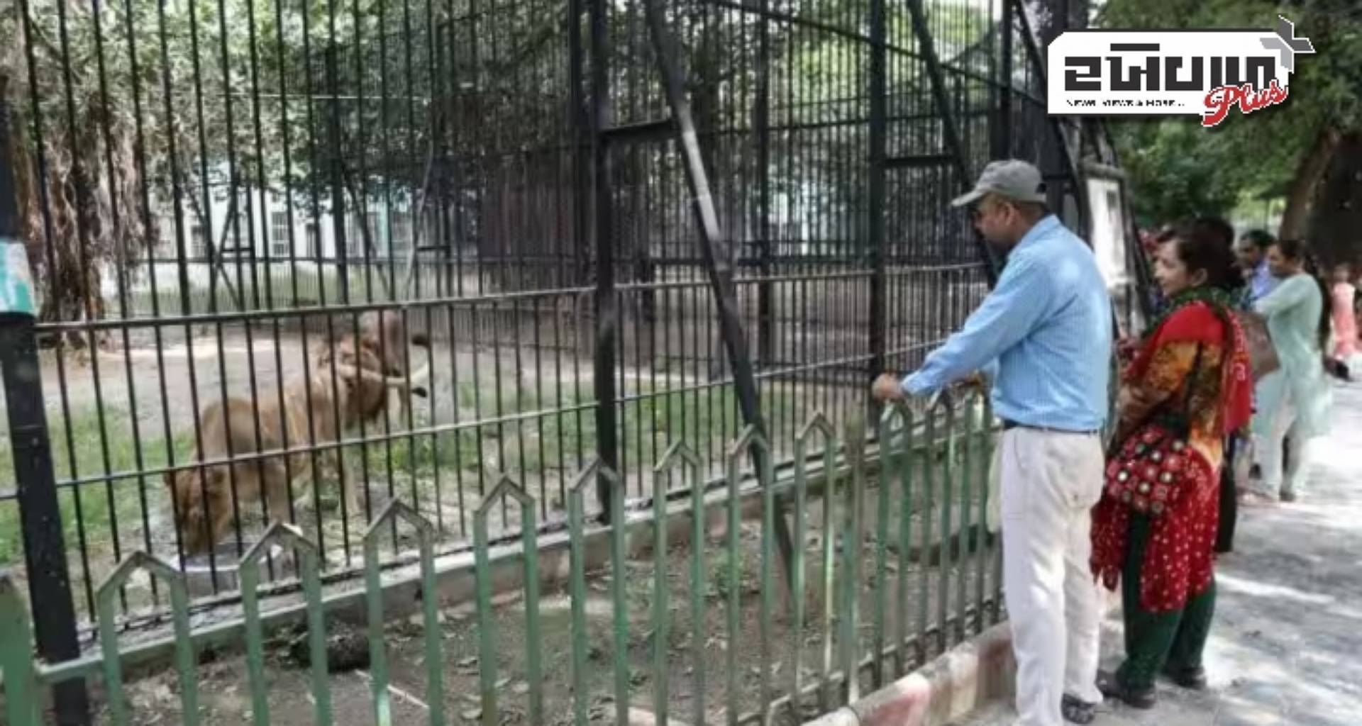 પ્રાણી સંગ્રહાલયની મુલાકાતોએ ભારતના બંધારણ અને રાષ્ટ્રીય પ્રતીકને આકાર આપવામાં કેવી રીતે મદદ કરી, જાણો...