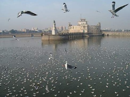 કાળઝાળ ગરમીથી લાખોટા તળાવની મધ્ય આવેલા મ્યુઝિયમ સાથેના પક્ષી ઘરમાં અંદાજે 600 જેટલા પક્ષીઓને મળશે આંશિક રાહત