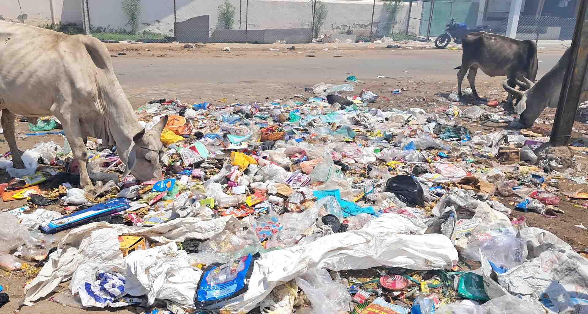 "પ્લાસ્ટિક મુક્ત પાલનપુર" અભિયાન કાગળ પર..!