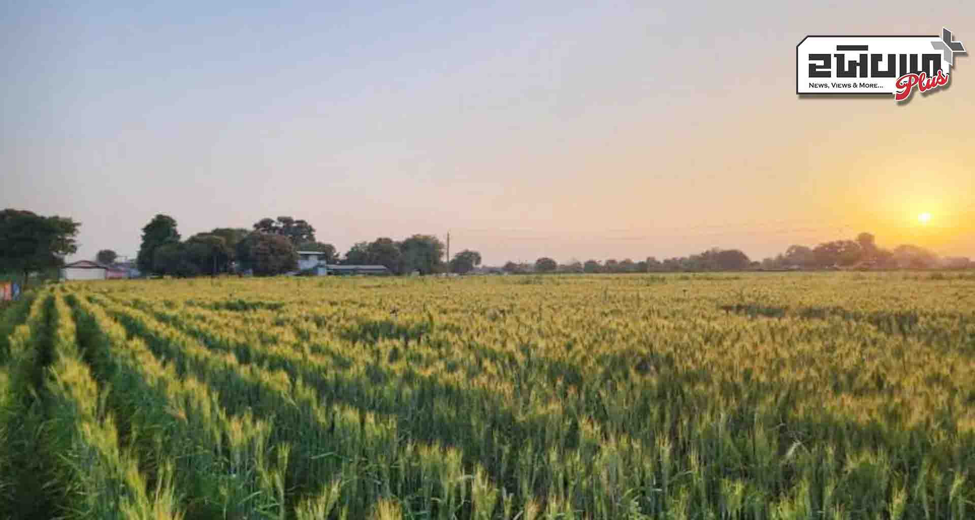 રાત્રે ઠંડી અને દિવસે ગરમીનો અનુભવવા લોકોના સ્વાસ્થ્ય ઉપર પણ સીધી અસર