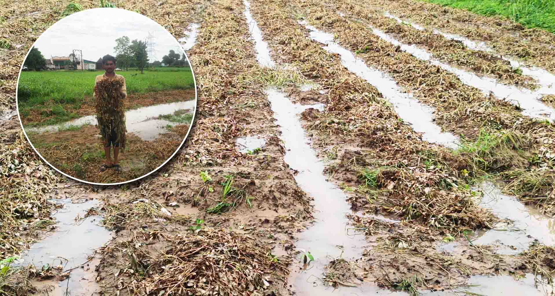 બનાસકાંઠા જિલ્લાના ચાર તાલુકાઓમાં મધરાતે મેઘરાજાએ ધબધબાટી બોલાવી