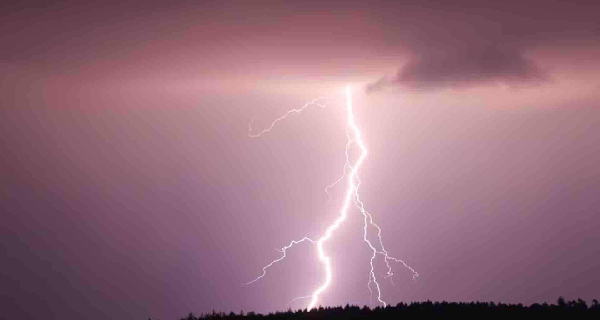 સુરેન્દ્રનગરમાં વરસાદી વાતાવરણ વચ્ચે વીજળી પડતા 48 પશુઓ ના મોત