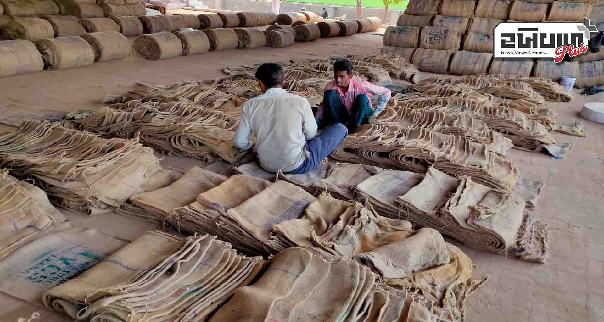 બનાસકાંઠા જિલ્લામાં બટાટાની સિઝન શરૂ થતા બટાકા ભરવાના બારદાન નો અંદાજીત રૂપિયા ૯૦૦ કરોડ નો કારોબાર