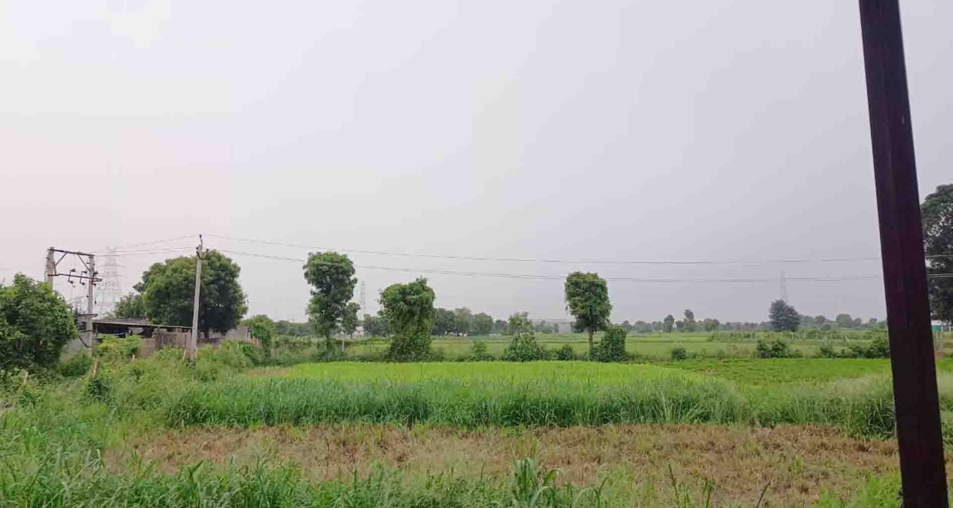 બનાસકાંઠા જિલ્લામાં ઓગસ્ટના અંત અને સપ્ટેમ્બરના પ્રથમ સપ્તાહ સુધી ભારે વરસાદ થવાની શક્યતાઓ