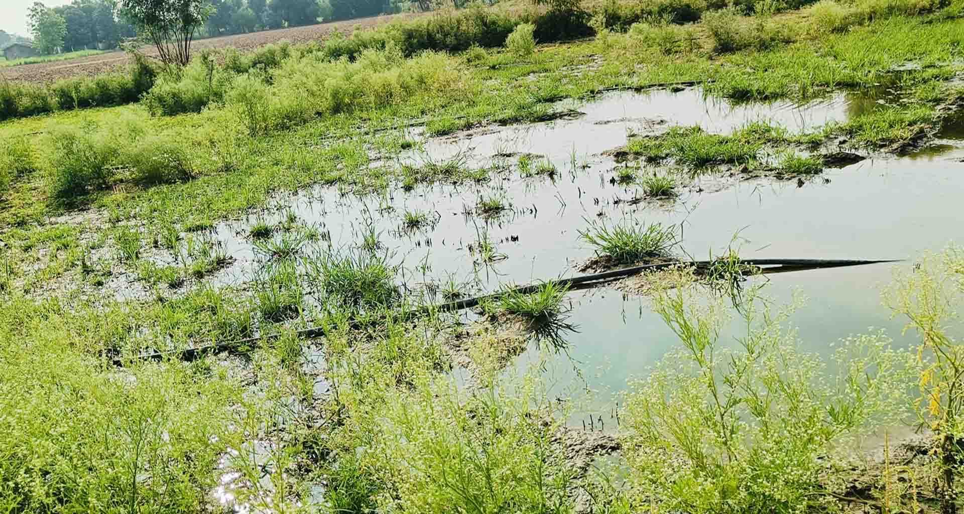 પાલડીમાં છેલ્લા ચાર મહિનાથી પાણીની પાઇપલાઇન તૂટી ગયેલી હાલતમાં