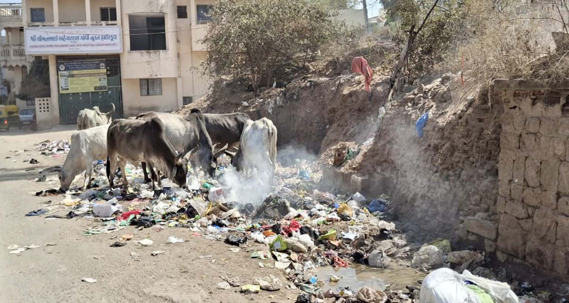 પાલનપુરમાં સેનિટેશન વિભાગની બેદરકારીથી શાળાના વિદ્યાર્થીઓના આરોગ્ય સાથે ચેડા