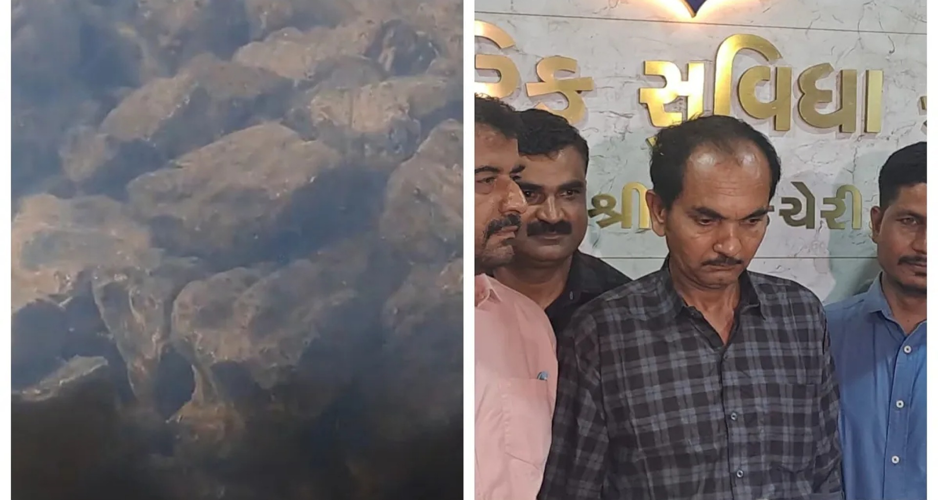 સુરતમાં કરોડોના "તરતા સોના" સાથે દાણચોરની ધરપકડ, જાણો આ સોનું શું છે?