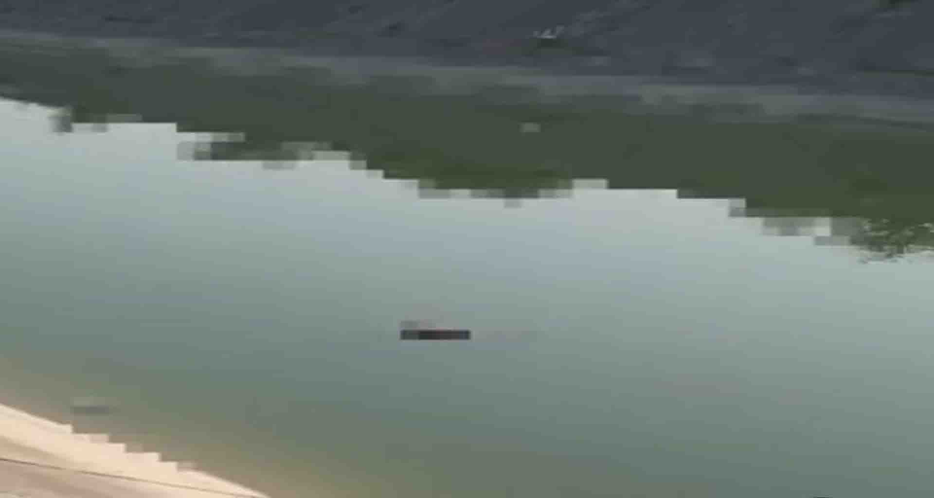 થરાદની નર્મદા કેનાલમાંથી વધુ એક યુવાનની લાશ મળી