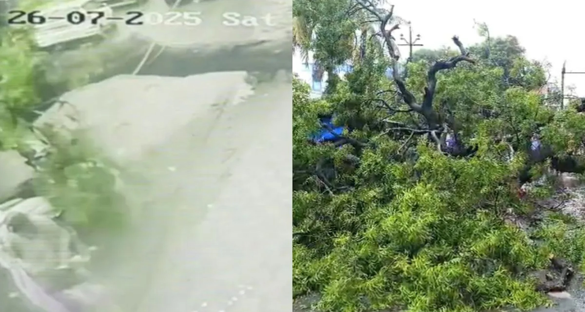 સ્કૂટર પર ઘરે જઈ રહેલા ત્રણ બાળકો પર ઝાડ પડ્યું, બાળકીના પેટમાં ડાળી ઘૂસી ગઈ, એકનું મોત