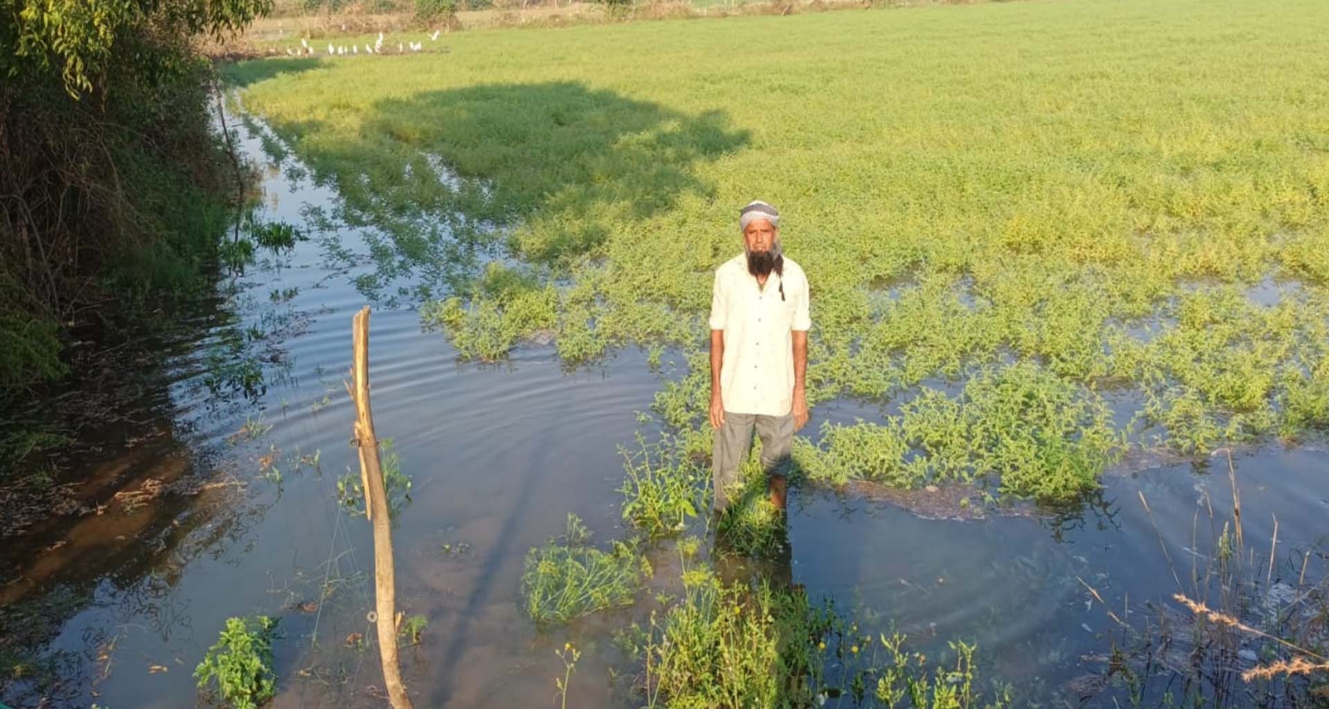 સુઇગામની ધનાણા બેણપ માઇનોર તૂટી જતા ખેડૂતોના ખેતરમાં પાણી ઘુસ્યા