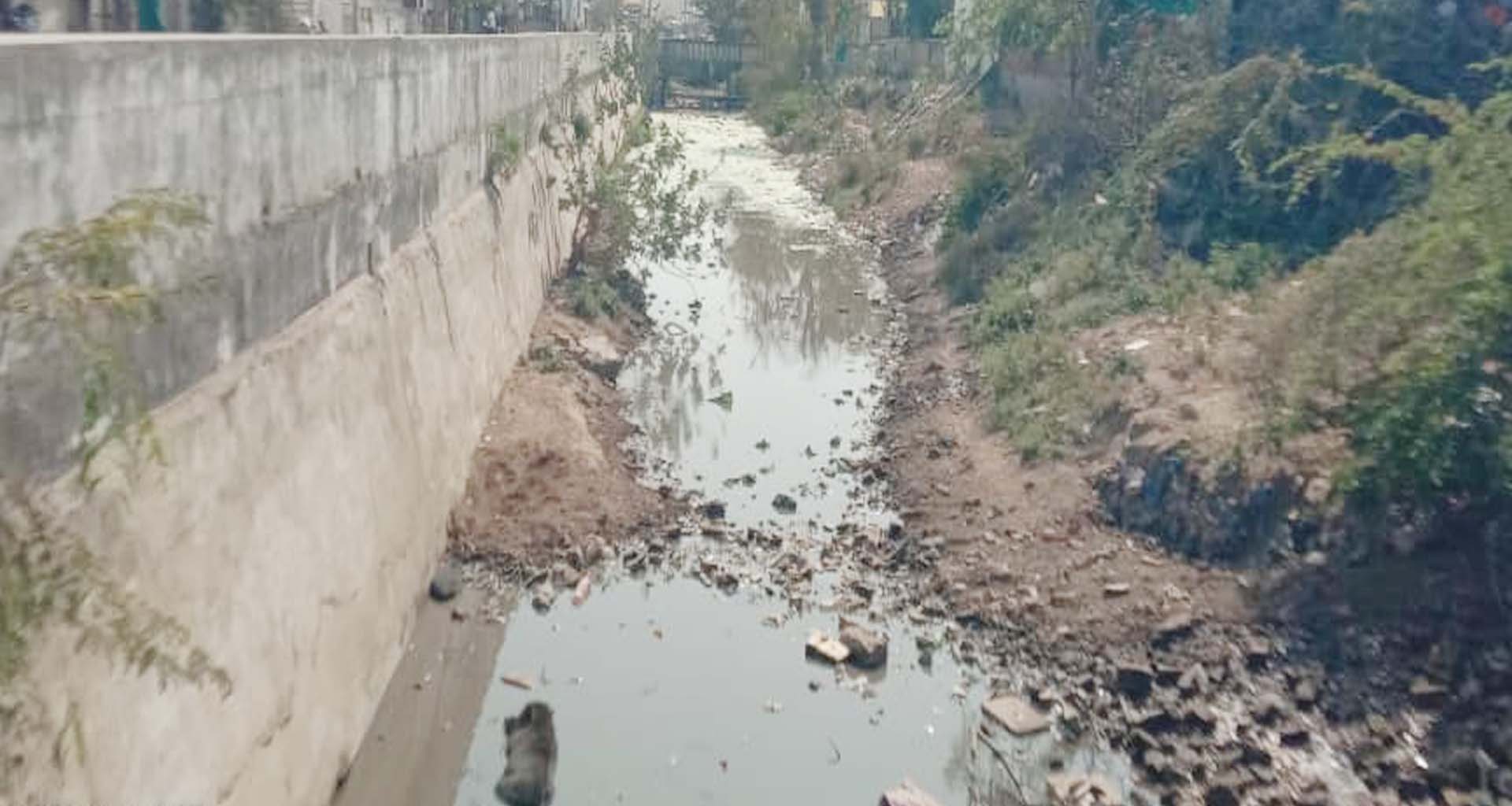 પાટણ કેનાલની ગંદકી દૂર કરવા કોર્પોરેટરની પાલિકા તંત્રને રજુઆત