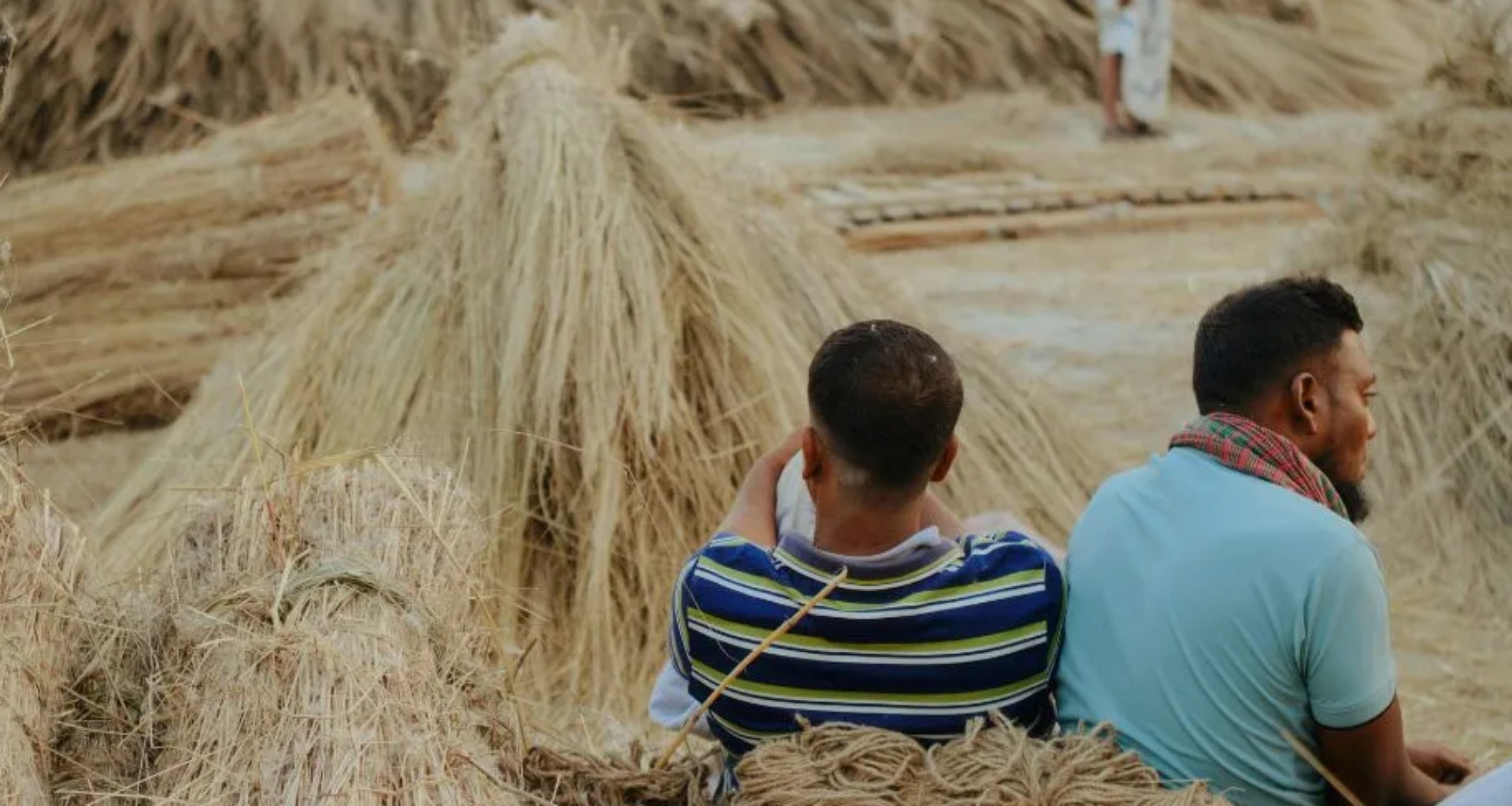 કેન્દ્ર સરકારે શણના MSPમાં વધારો કરીને મોટો ફાયદો આપ્યો હોવાથી ખેડૂતો માટે રાહતની ઘટી