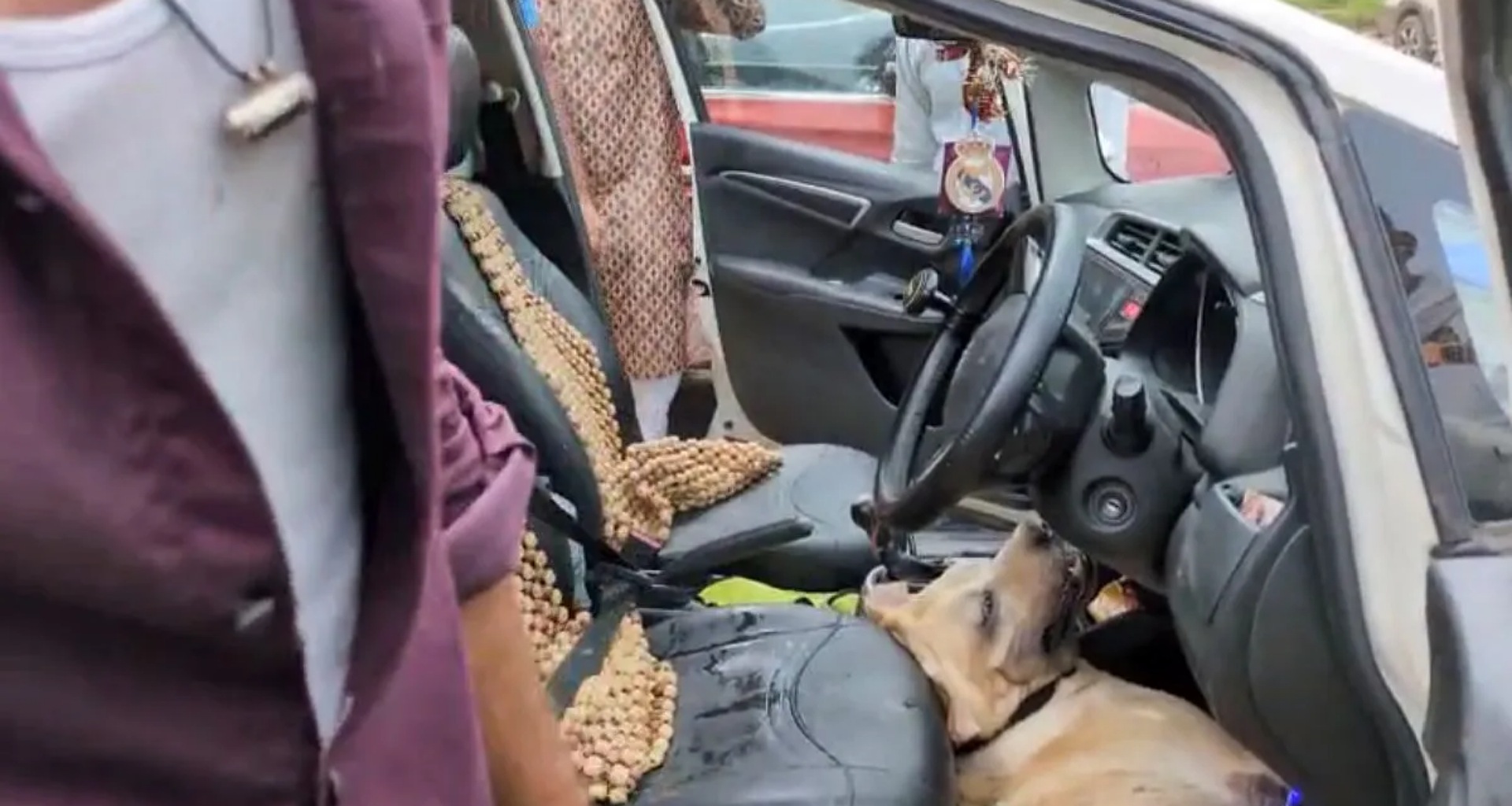 મથુરા: અમાનવીય કૃત્ય, કૂતરાનું ગૂંગળામણથી મોત, માલિકે તેને કારમાં બંધ કરીને મંદિરમાં ગયો હતો