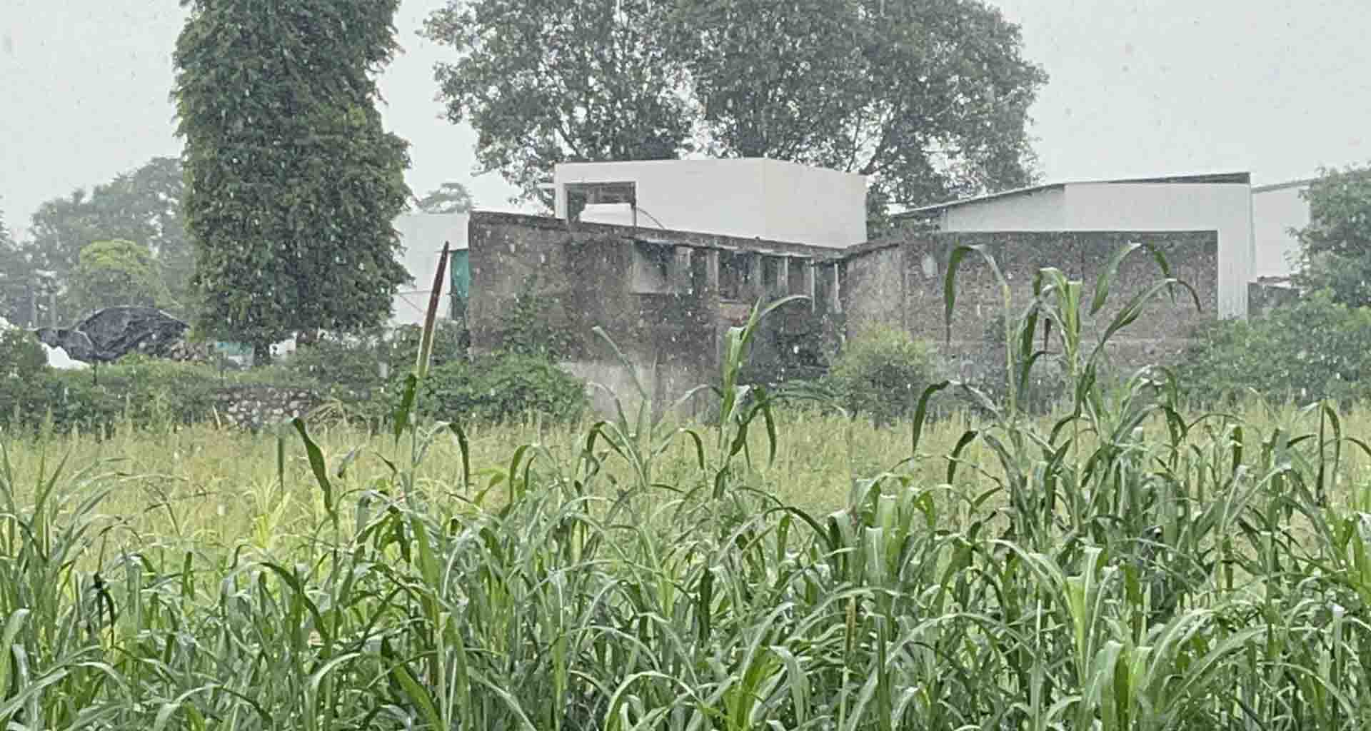 બનાસકાંઠા જિલ્લામાં અમીરગઢ અને પાલનપુર આસપાસ વરસાદી ઝાપટા