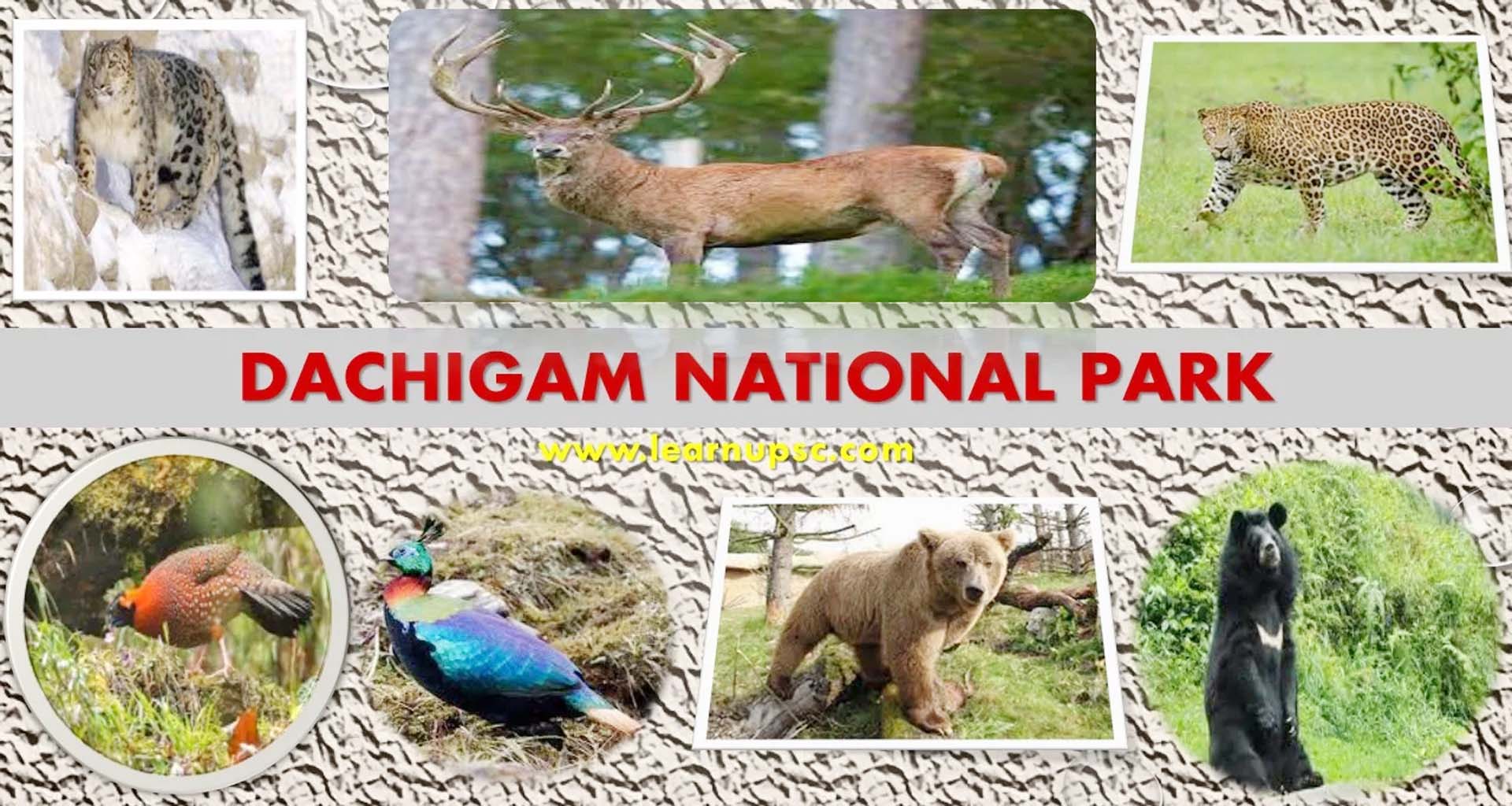 જમ્‍મુ -કાશ્‍મીરનું દાચીગામ રાષ્‍ટ્રીય ઉદ્યાન ભારતમાં સર્વશ્રેષ્‍ઠ સંરક્ષિત ક્ષેત્ર બન્‍યું