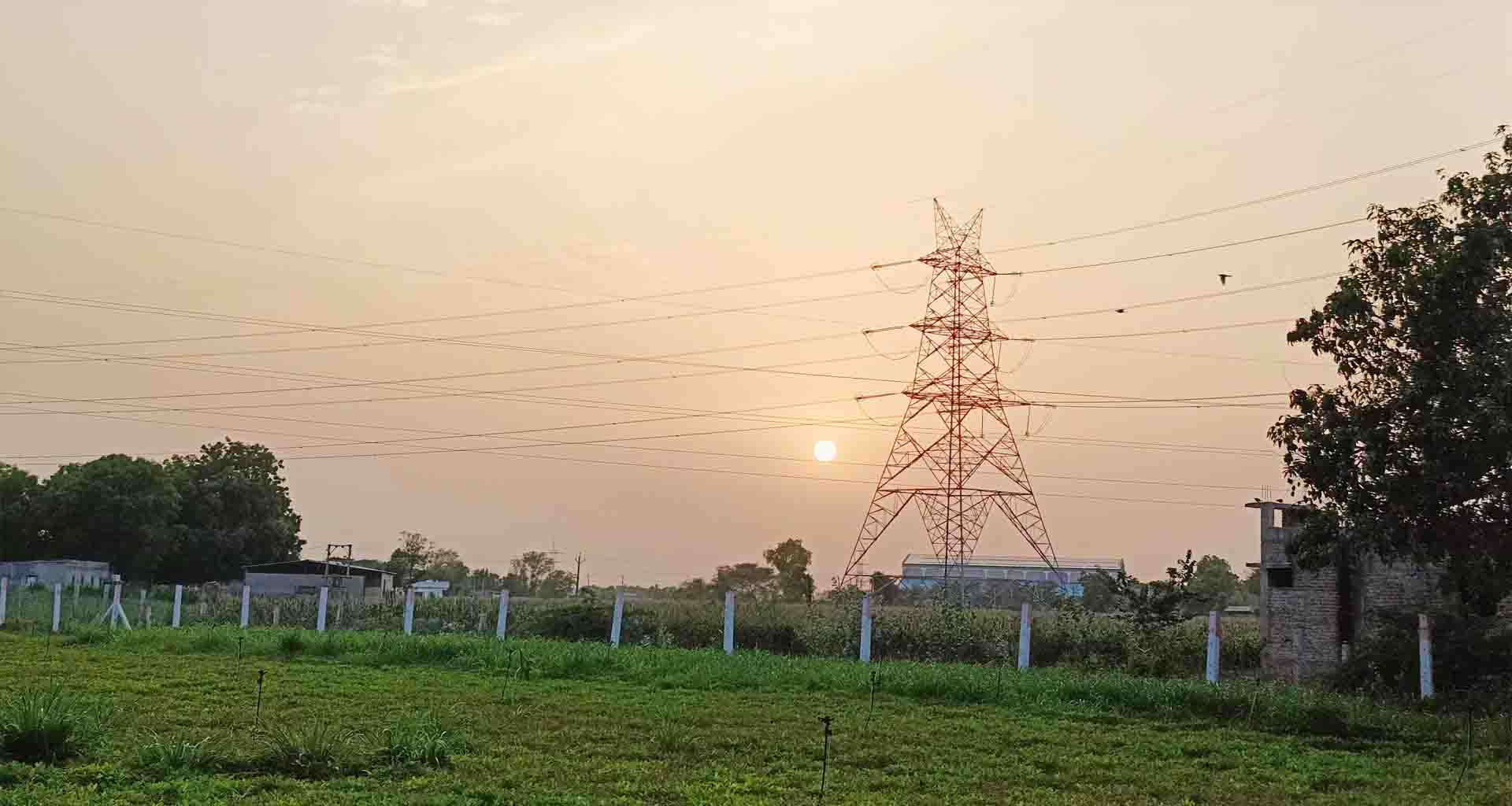 બનાસકાંઠા જિલ્લામાં વરસાદનું જોર ઘટ્યું : કેટલાક ભાગોમાં દિવસ દરમિયાન તડકો નીકળતા ખેડૂત વર્ગમાં હાશકારો