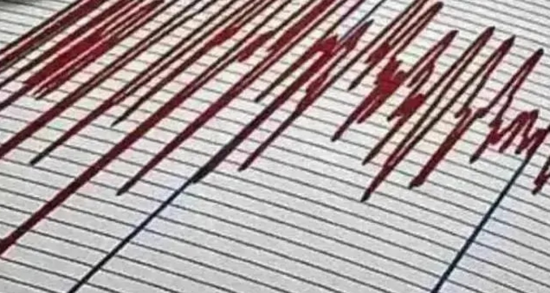 અમેરિકાના આ રાજ્યમાં ભૂકંપના ઝટકા, સુનામીની ચેતવણી જારી, જાણો કેટલી તીવ્રતા હતી