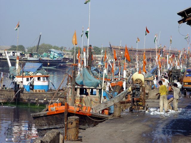 ગુજરાત દરિયાઈ માછલીના ઉત્પાદનમાં સમગ્ર દેશમાં બીજા સ્થાન પર; પ્રધાનમંત્રી મત્સ્ય સંપદા યોજના હેઠળ વર્ષ 2025-26માં ગુજરાત માટે ગુજરાત માટે કેન્દ્ર તરફથી ₹50 કરોડની ગ્રાન્ટ રિલીઝ