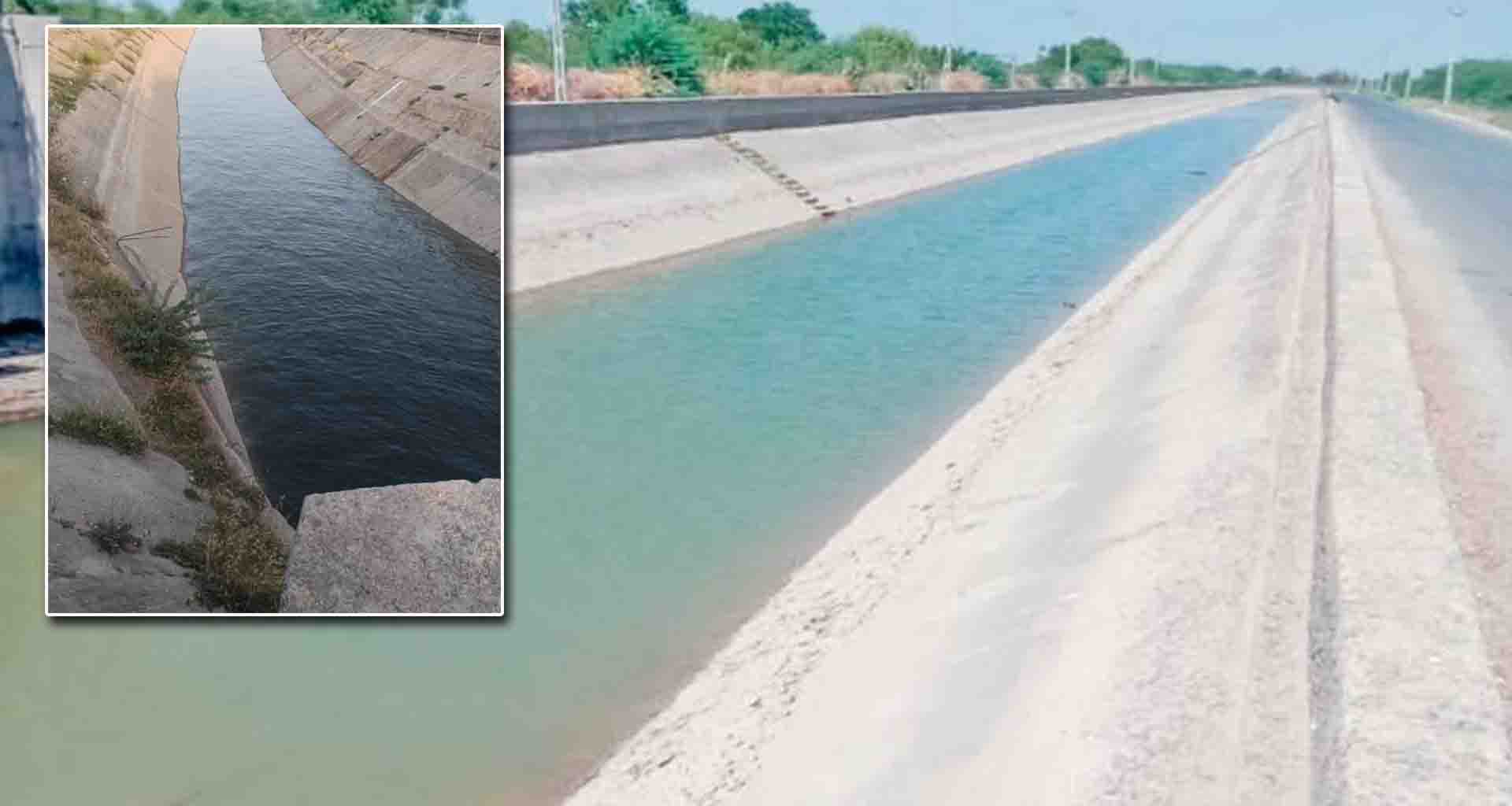 સરહદી વાવ સુઇગામ પંથકની કેનાલમાં પાણી છોડાતા હજારો હેકટર જમીનમાં ઉભા પાકને જીવતદાન પશુધનને હાશકારો