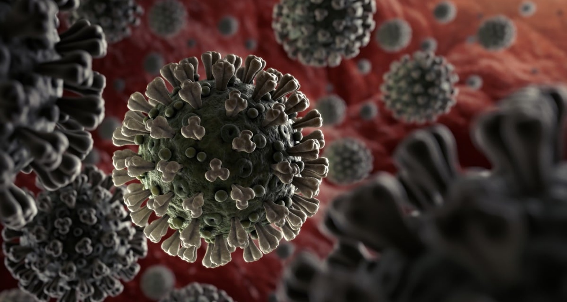 ઇન્દોરમાં 48 કલાકમાં કોરોનાથી 3 મહિલાઓના મોત, જાણો આરોગ્ય વિભાગે શું કહ્યું?