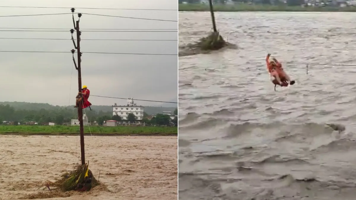 દેહરાદૂન: નદીમાં બાળક ફસાયું, ભયાનક દ્રશ્ય જોઈને બધા ચોંકી ગયા, ભારે મહેનત બાદ NDRFએ તેને બચાવ્યો