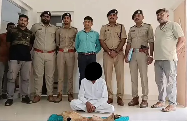 સાવરકુંડલાના સીમરણ ગામેથી વનવિભાગે એક શખ્સ પાસેથી સિંહના બે નખ અને કાળિયાર હરણનું ચામડું મળી આવતા ધરપકડ