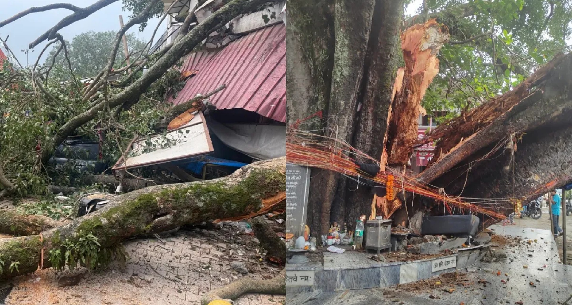 દહેરાદૂનના ટપકેશ્વર મહાદેવ મંદિર સંકુલમાં સદીઓ જૂનું વૃક્ષ પડ્યું, ભક્તો માંડ માંડ બચ્યા