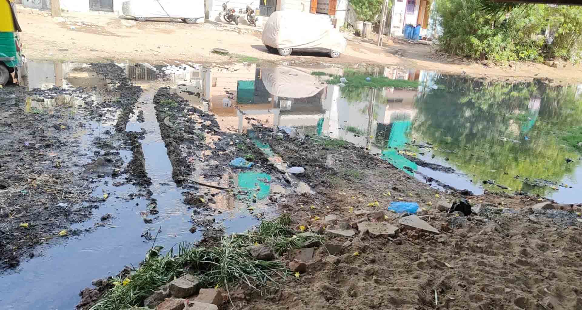 પાલનપુરના ઢૂંઢિયાવાડીમાં દેવ ચેમ્બર્સ પાછળ ગંદકીનું સામ્રાજ્ય