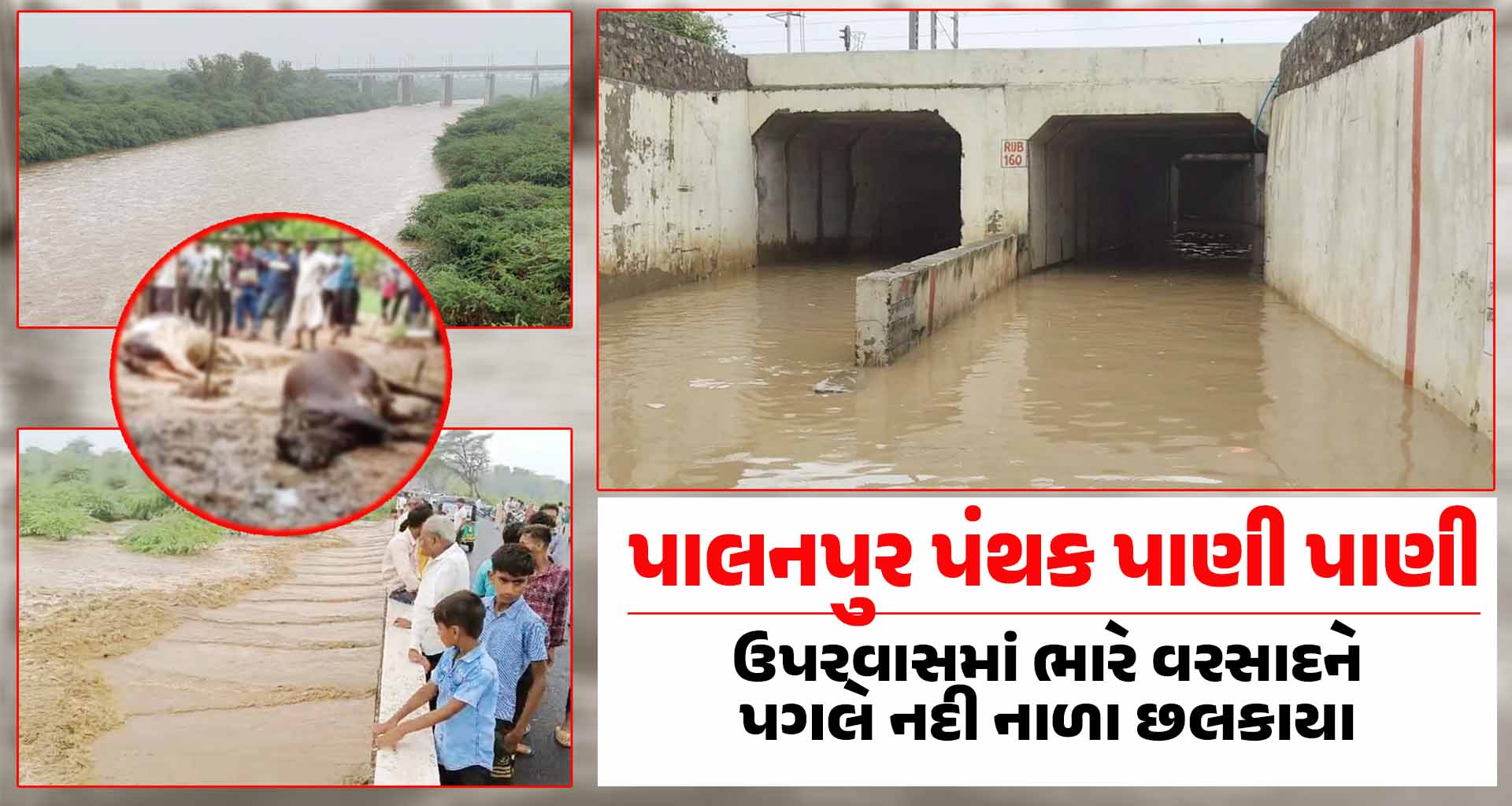 પાલનપુર પંથક પાણી પાણી; ઉપરવાસમાં ભારે વરસાદને પગલે નદી નાળા છલકાયા