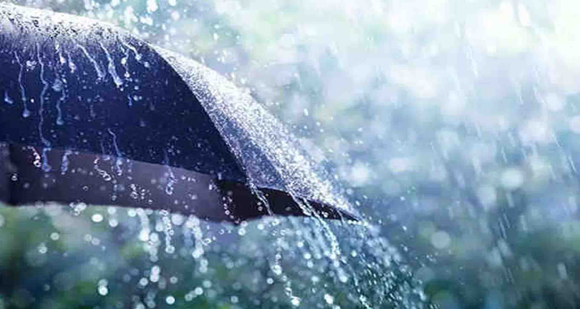 દક્ષિણ ગુજરાતમાં મેઘ મહેર; રાજ્યના અલગ-અલગ તાલુકાઓમાં ૩ ઇંચ કરતાં વધુ વરસાદ